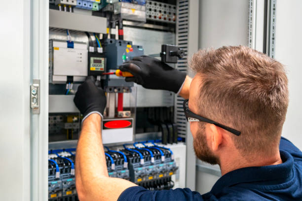 Best Electrical System Inspection  in Guntersville, AL